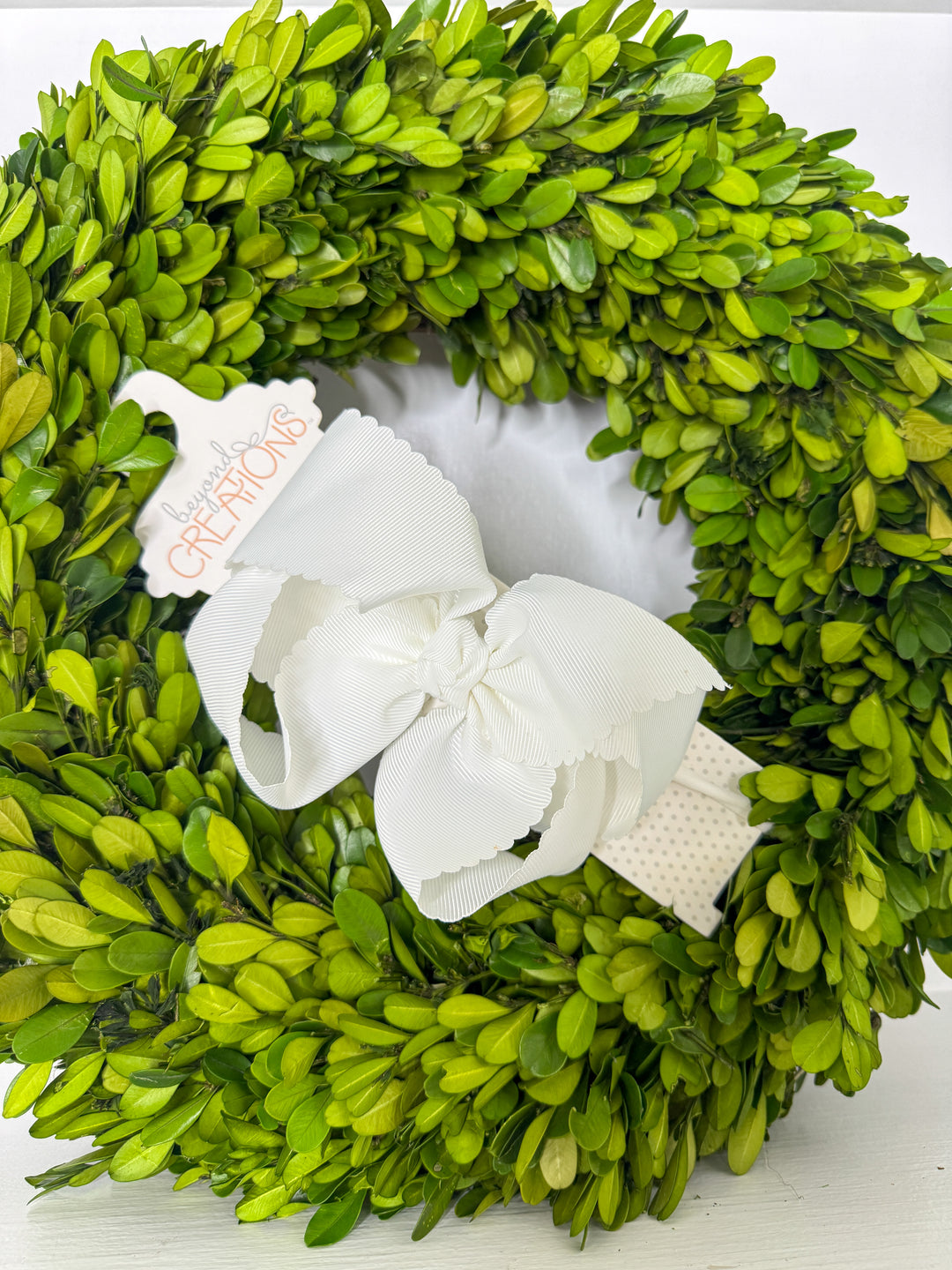 1/4" Nylon Headband W/Scalloped Bow 5.5"