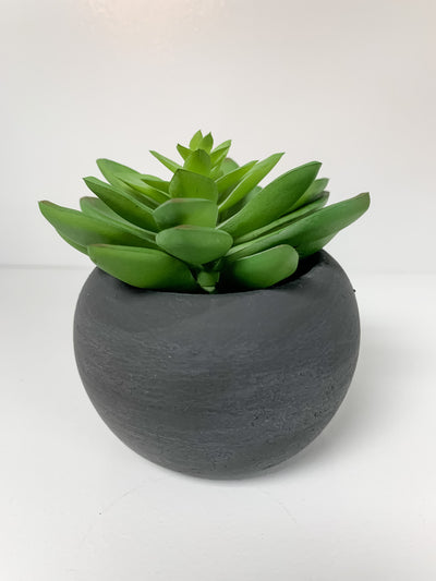 Succulents In Pots